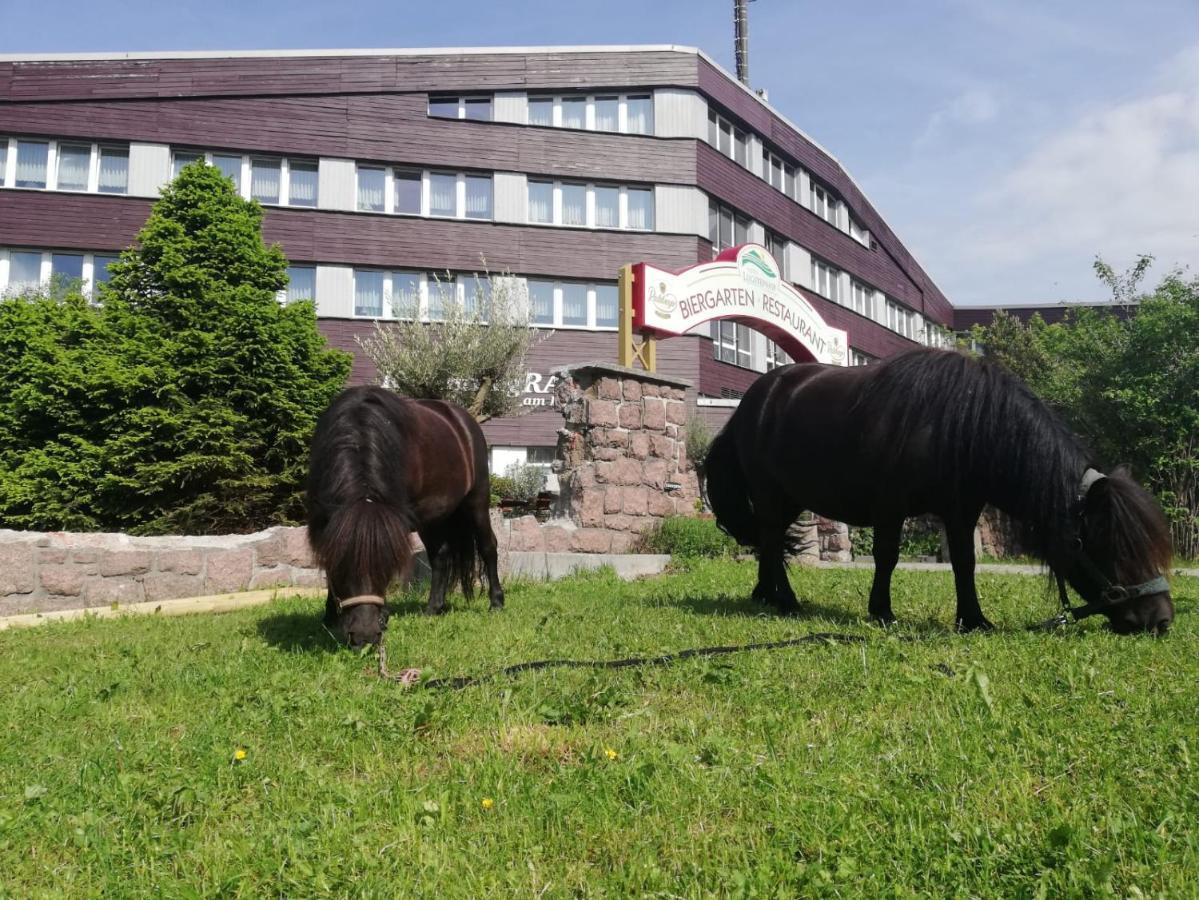 Hotel Lugsteinhof Altenberg  Dış mekan fotoğraf