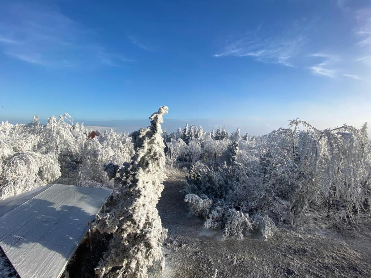 Hotel Lugsteinhof Altenberg  Dış mekan fotoğraf