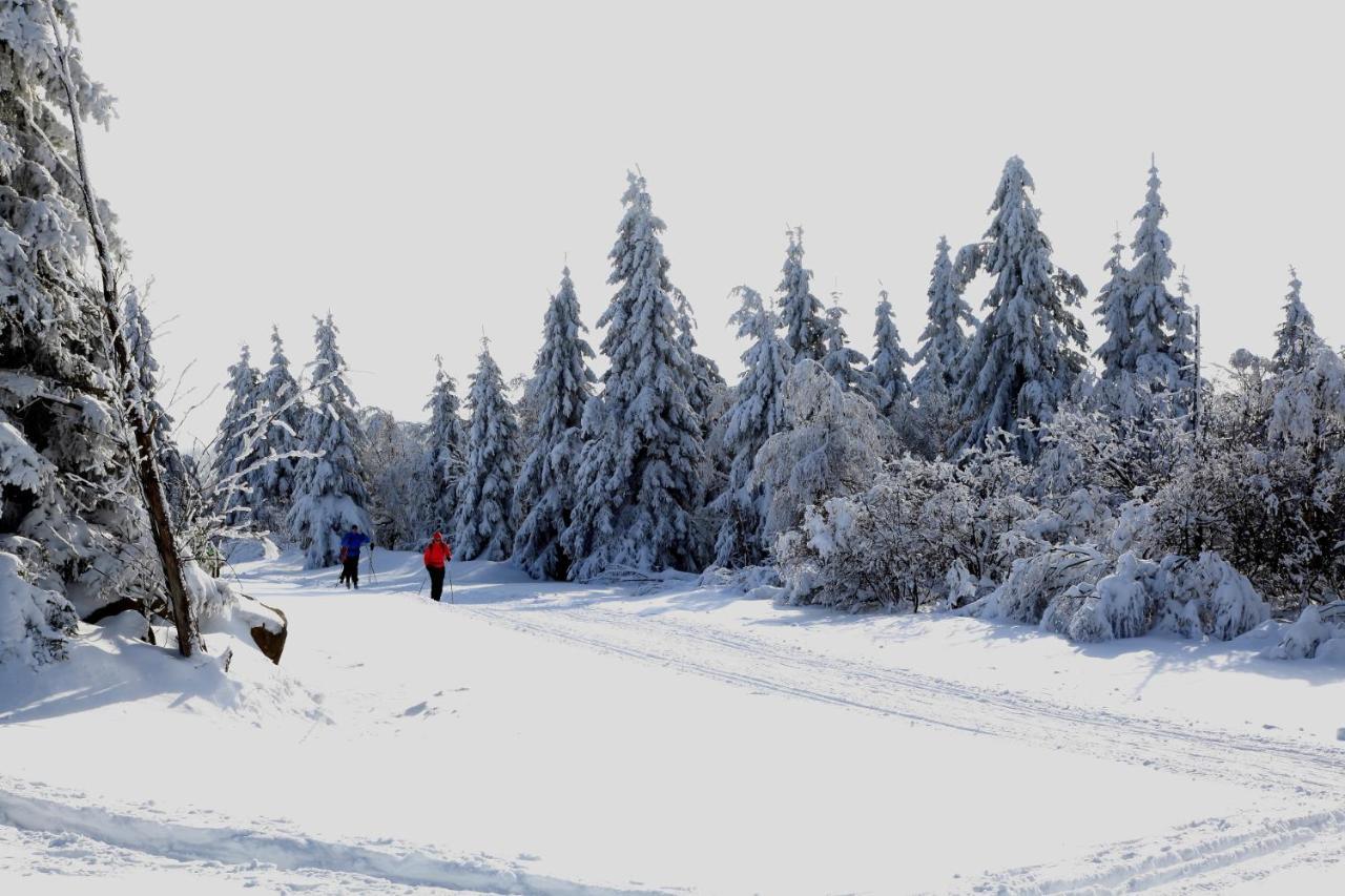 Hotel Lugsteinhof Altenberg  Dış mekan fotoğraf